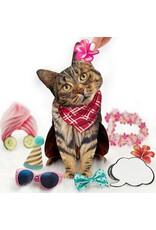 FreshCut Paper Pop Up Pet Cards | Brown Tabby Cat Pop-Up Card