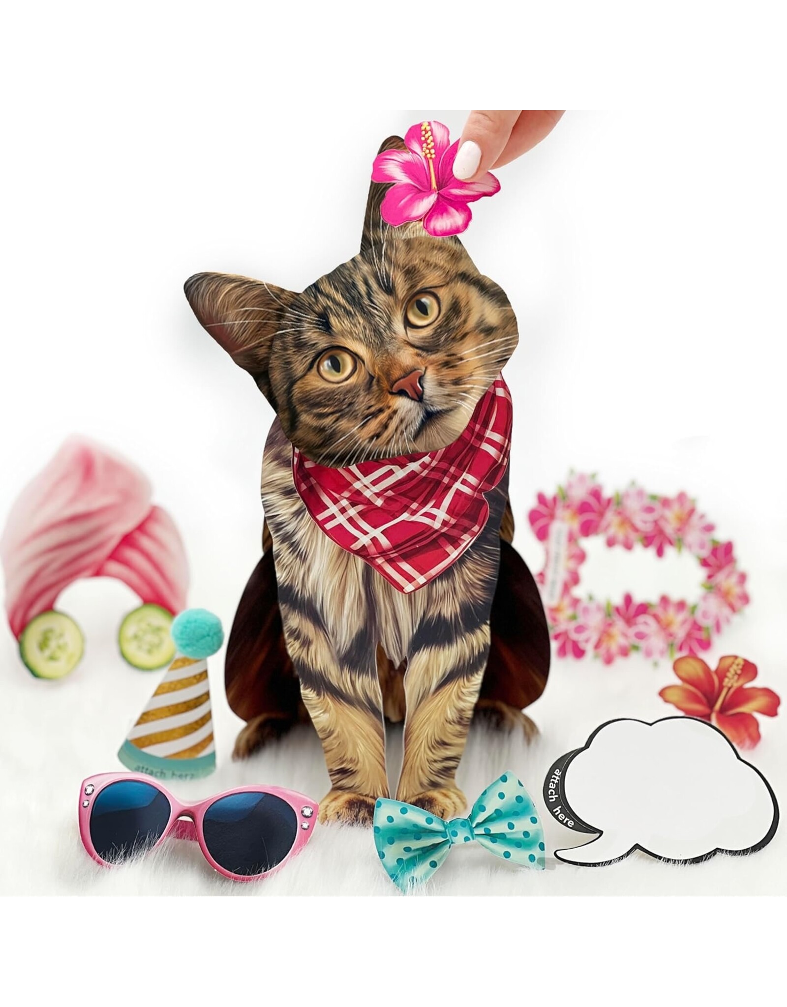 FreshCut Paper Pop Up Pet Cards | Brown Tabby Cat Pop-Up Card