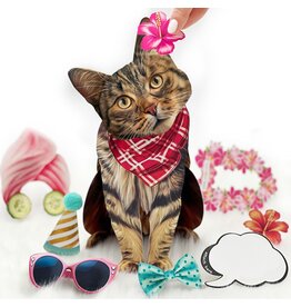 FreshCut Paper Pop Up Pet Cards | Brown Tabby Cat Pop-Up Card