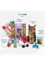 FreshCut Paper Pop Up Pet Cards | Brown Tabby Cat Pop-Up Card