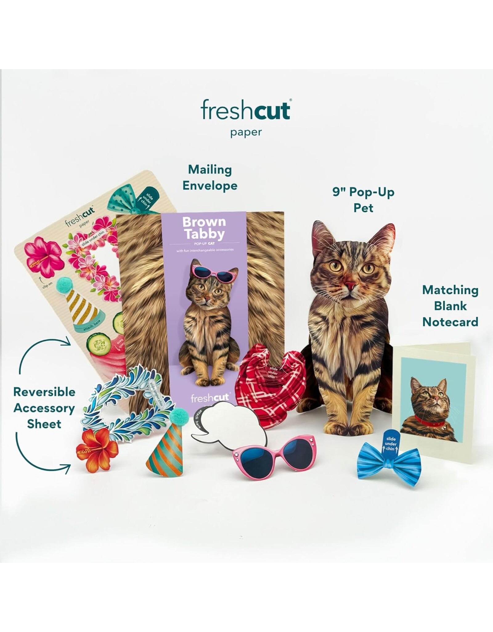 FreshCut Paper Pop Up Pet Cards | Brown Tabby Cat Pop-Up Card