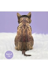 FreshCut Paper Pop Up Pet Cards | Brown Tabby Cat Pop-Up Card