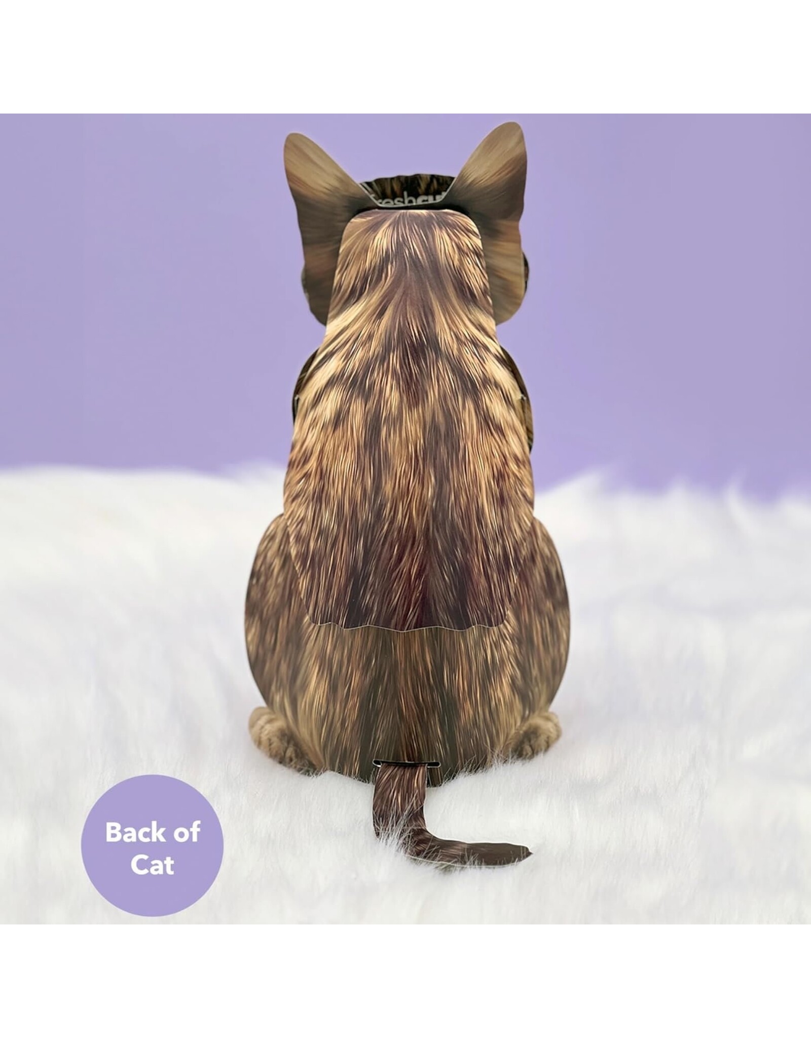 FreshCut Paper Pop Up Pet Cards | Brown Tabby Cat Pop-Up Card