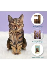 FreshCut Paper Pop Up Pet Cards | Brown Tabby Cat Pop-Up Card