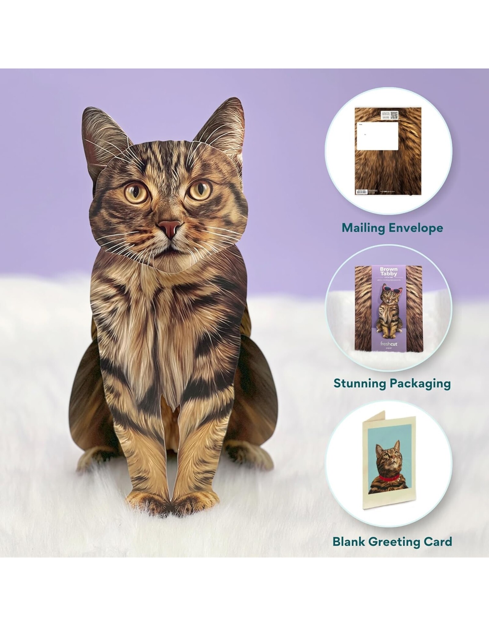 FreshCut Paper Pop Up Pet Cards | Brown Tabby Cat Pop-Up Card
