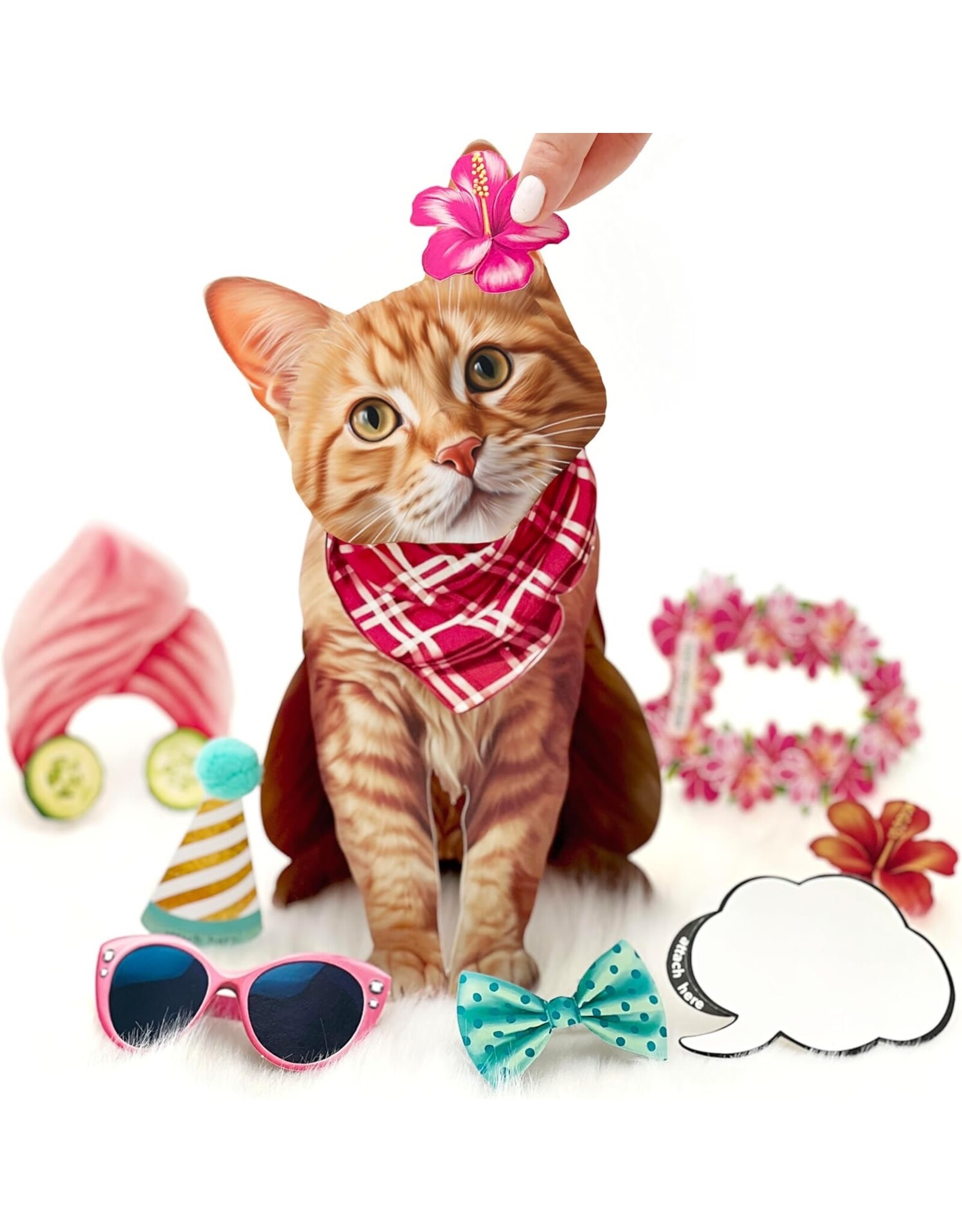 FreshCut Paper Pop Up Pet Cards | Orange Tabby Cat Pop-Up Card