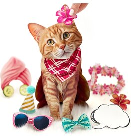 FreshCut Paper Pop Up Pet Cards | Orange Tabby Cat Pop-Up Card