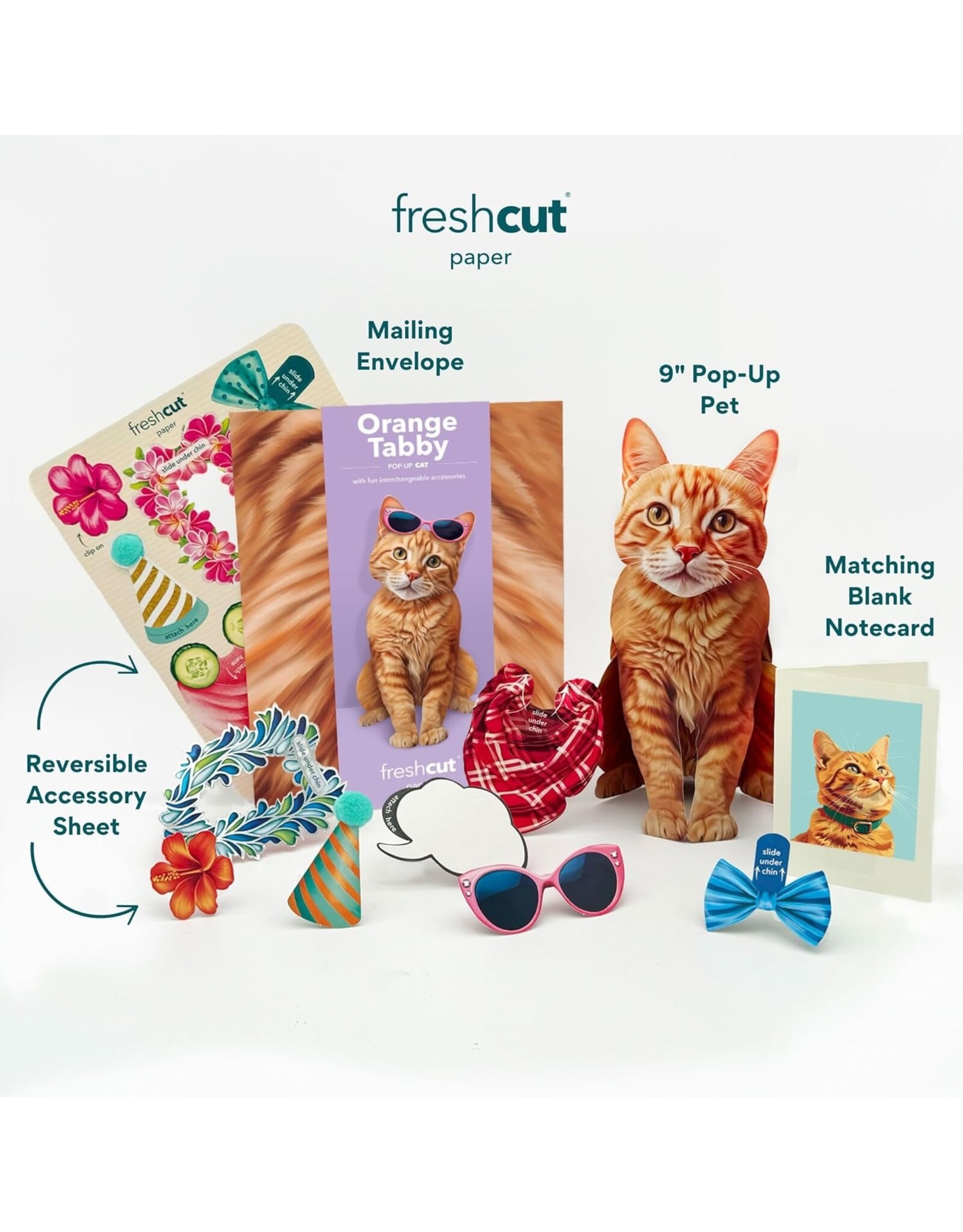 FreshCut Paper Pop Up Pet Cards | Orange Tabby Cat Pop-Up Card