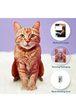 FreshCut Paper Pop Up Pet Cards | Orange Tabby Cat Pop-Up Card