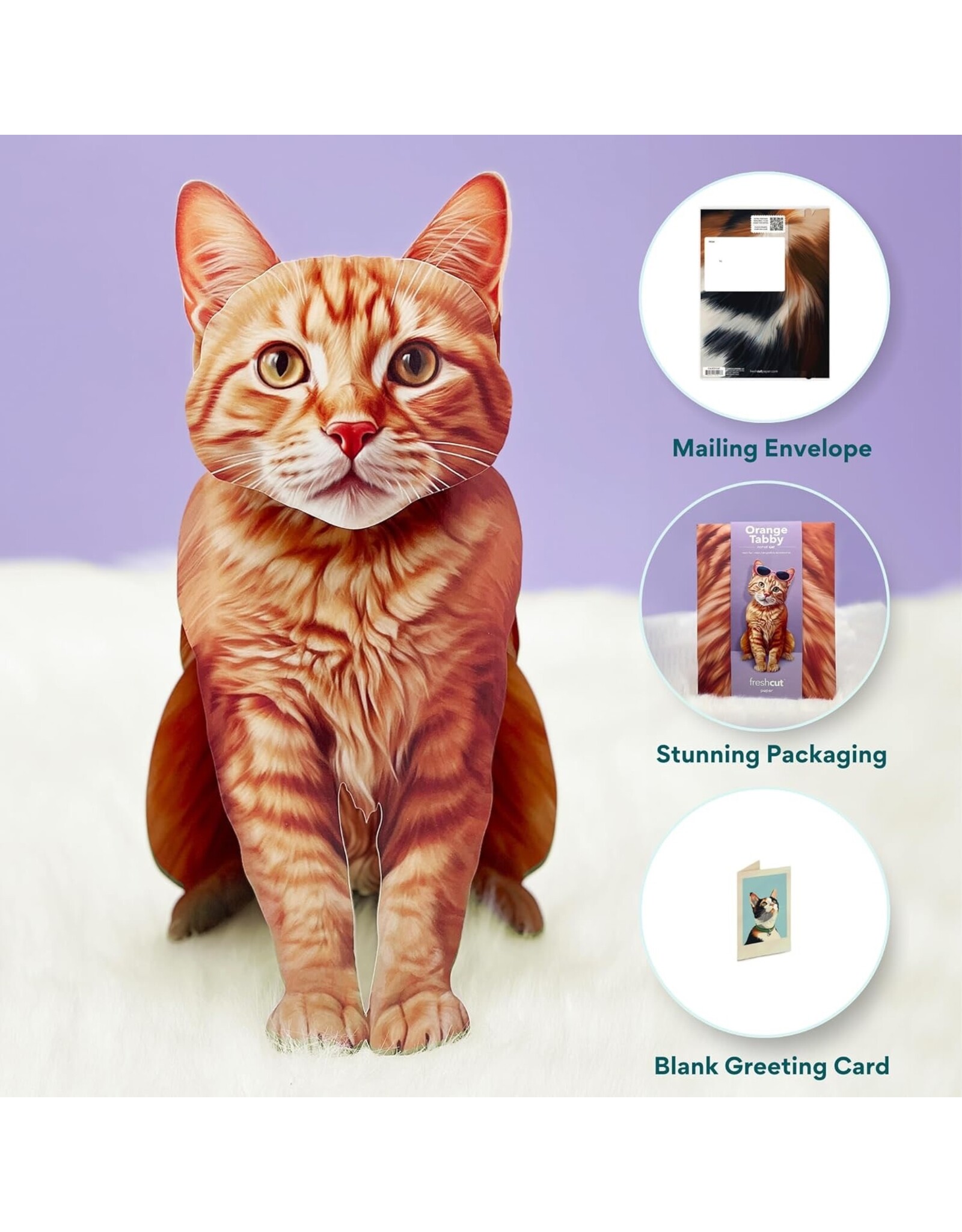 FreshCut Paper Pop Up Pet Cards | Orange Tabby Cat Pop-Up Card