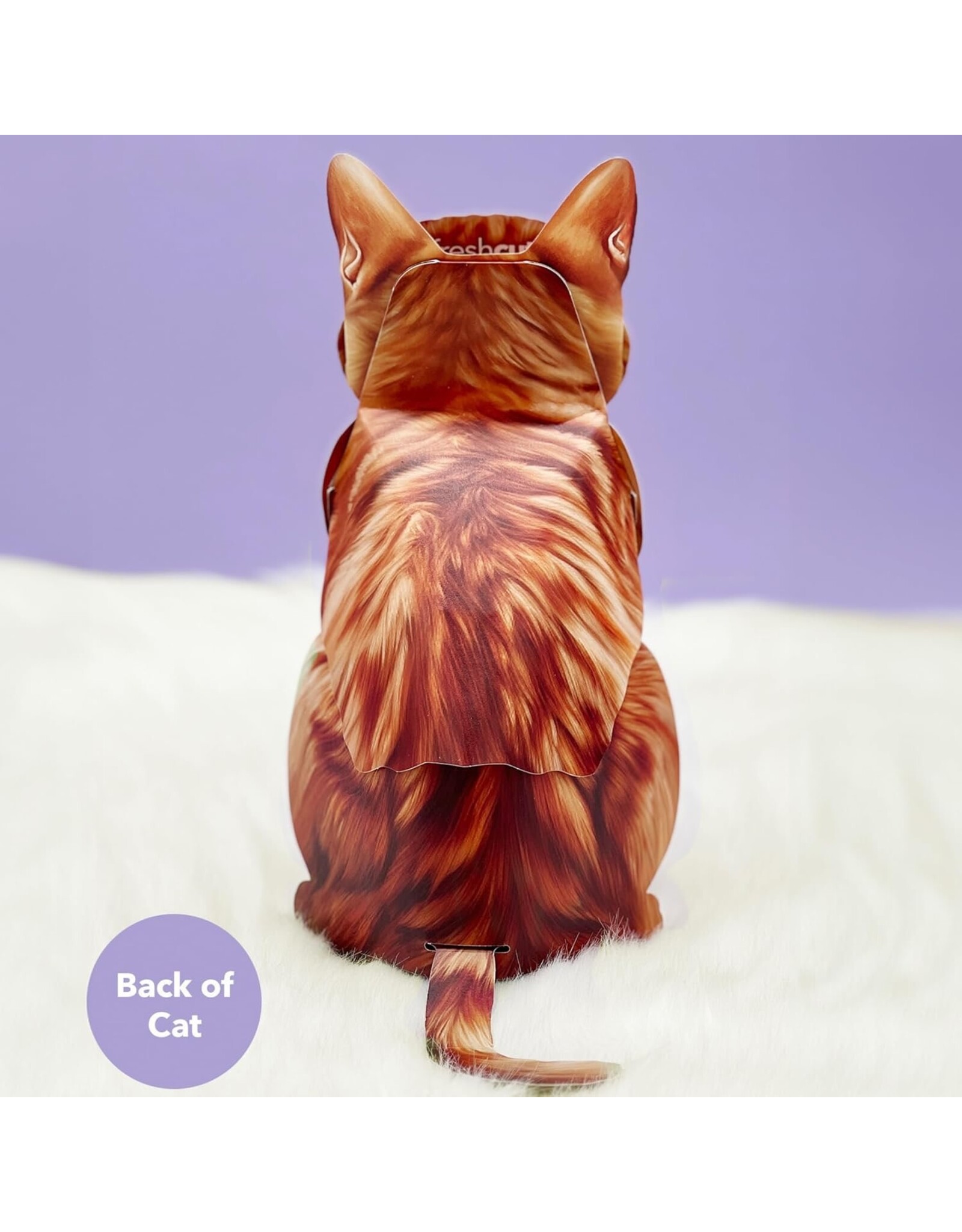 FreshCut Paper Pop Up Pet Cards | Orange Tabby Cat Pop-Up Card