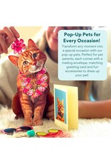 FreshCut Paper Pop Up Pet Cards | Orange Tabby Cat Pop-Up Card