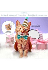 FreshCut Paper Pop Up Pet Cards | Orange Tabby Cat Pop-Up Card