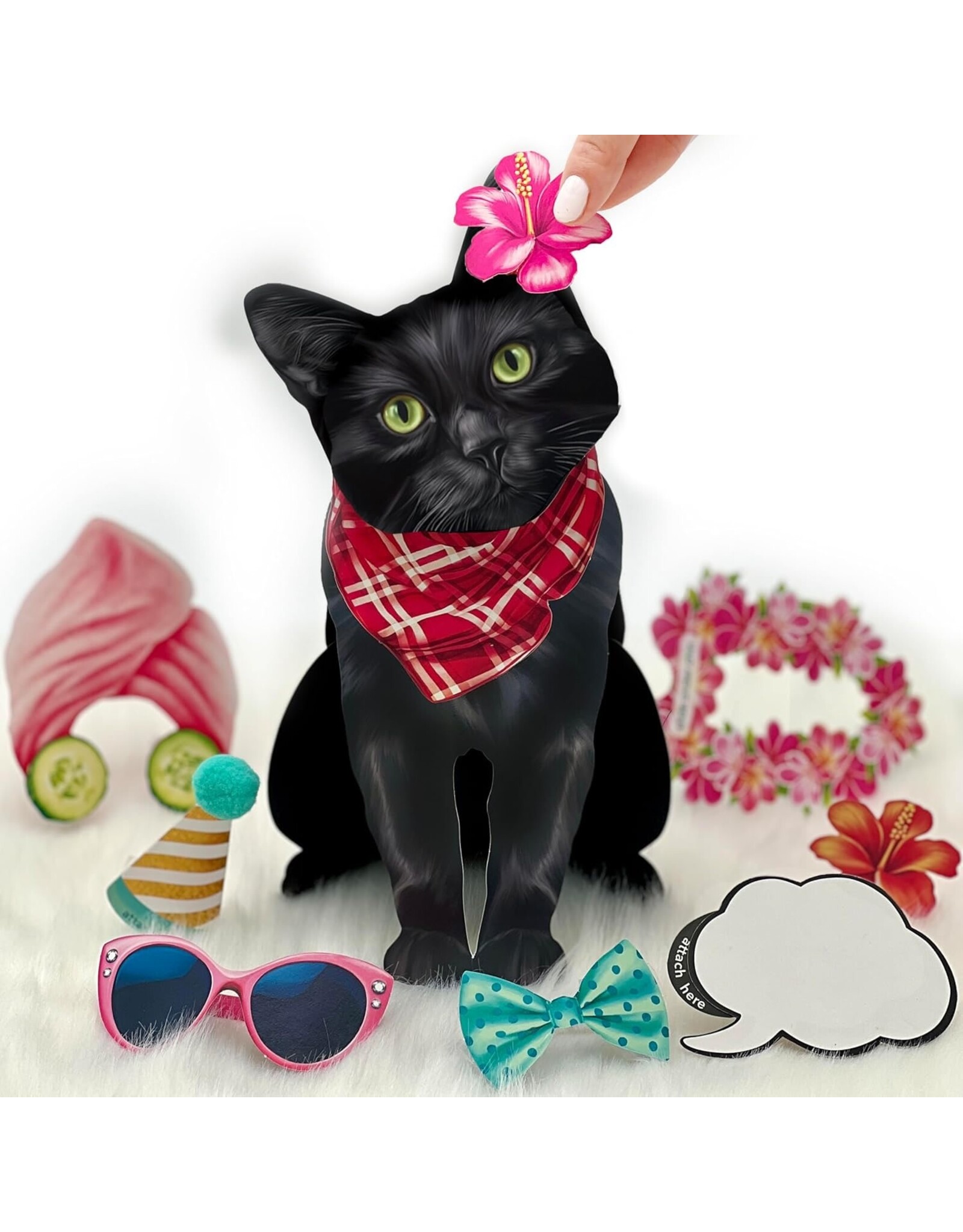 FreshCut Paper Pop Up Pet Cards | Black Cat Pop-Up Card