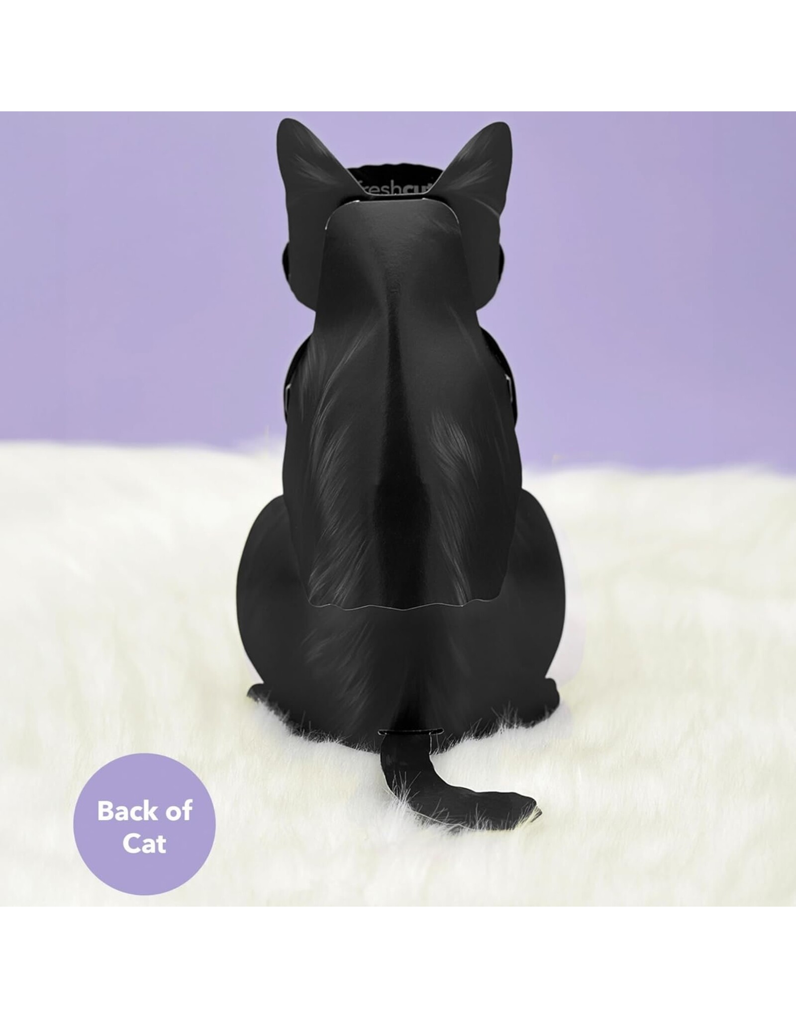 FreshCut Paper Pop Up Pet Cards | Black Cat Pop-Up Card