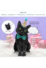 FreshCut Paper Pop Up Pet Cards | Black Cat Pop-Up Card