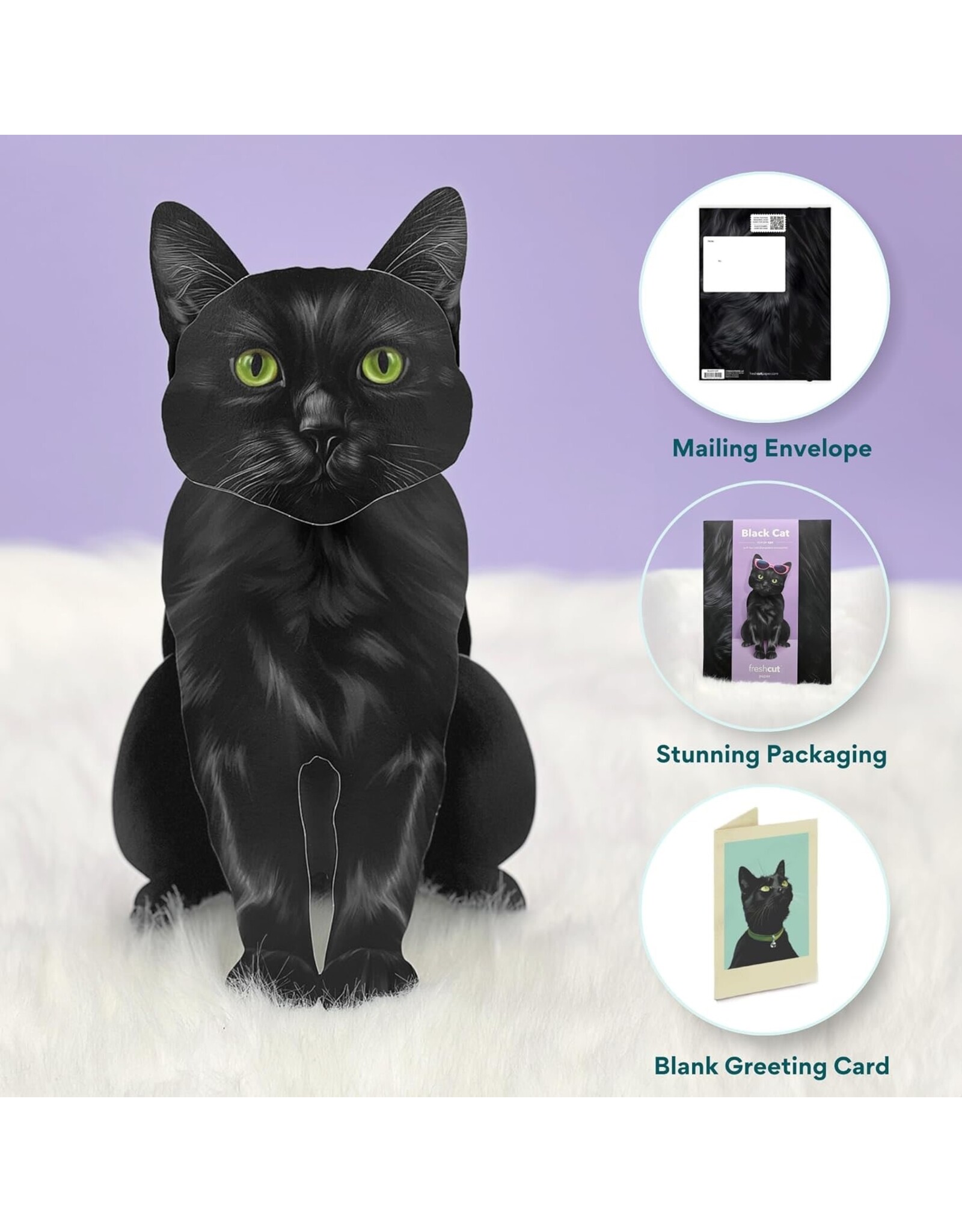 FreshCut Paper Pop Up Pet Cards | Black Cat Pop-Up Card