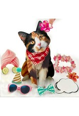 FreshCut Paper Pop Up Pet Cards | Calico Cat Pop-Up Card FreshCut Paper Pop Up Pet Cards | Calico Cat Pop-Up Card