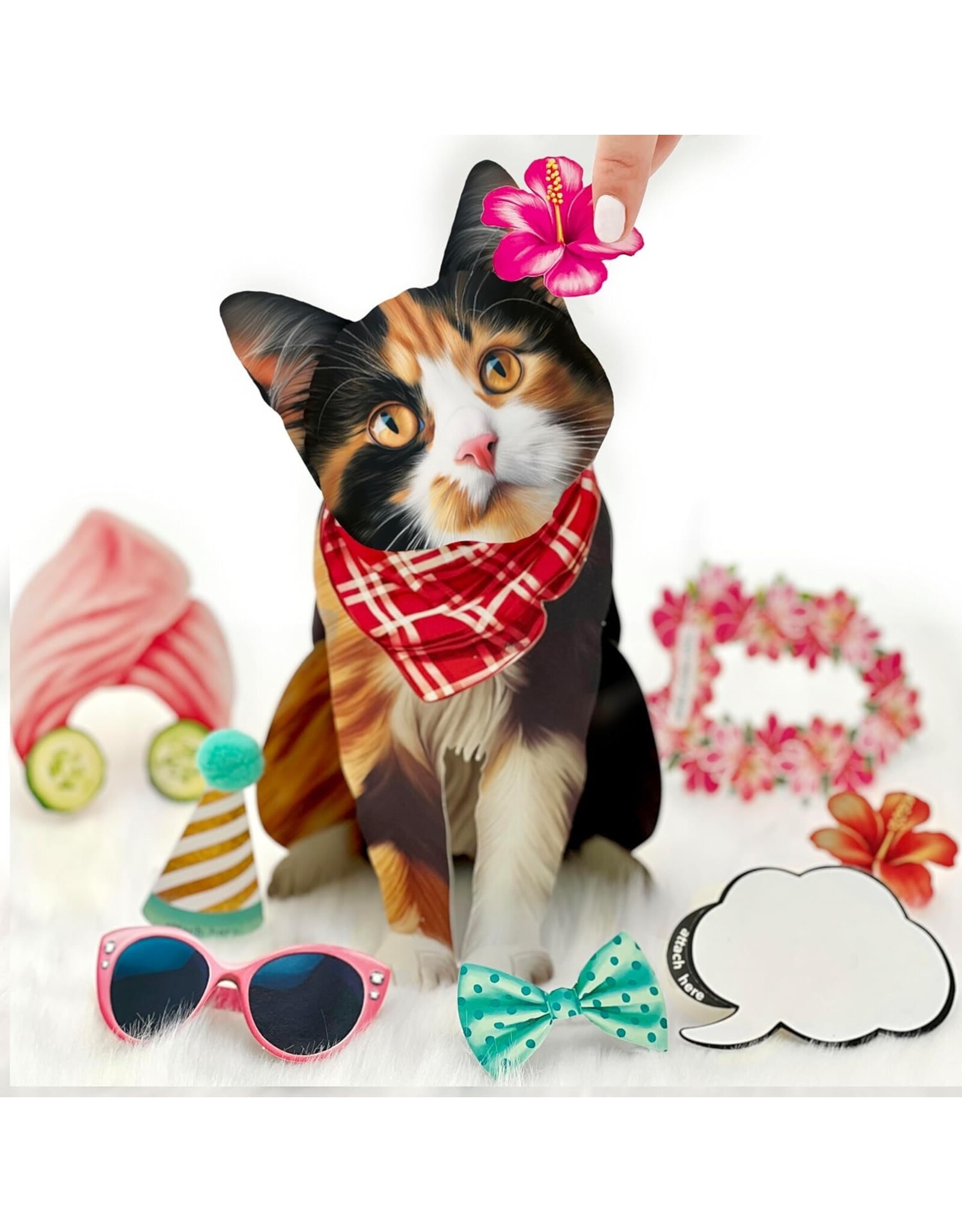 FreshCut Paper Pop Up Pet Cards | Calico Cat Pop-Up Card