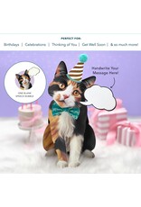 FreshCut Paper Pop Up Pet Cards | Calico Cat Pop-Up Card FreshCut Paper Pop Up Pet Cards | Calico Cat Pop-Up Card