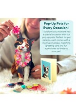 FreshCut Paper Pop Up Pet Cards | Calico Cat Pop-Up Card FreshCut Paper Pop Up Pet Cards | Calico Cat Pop-Up Card