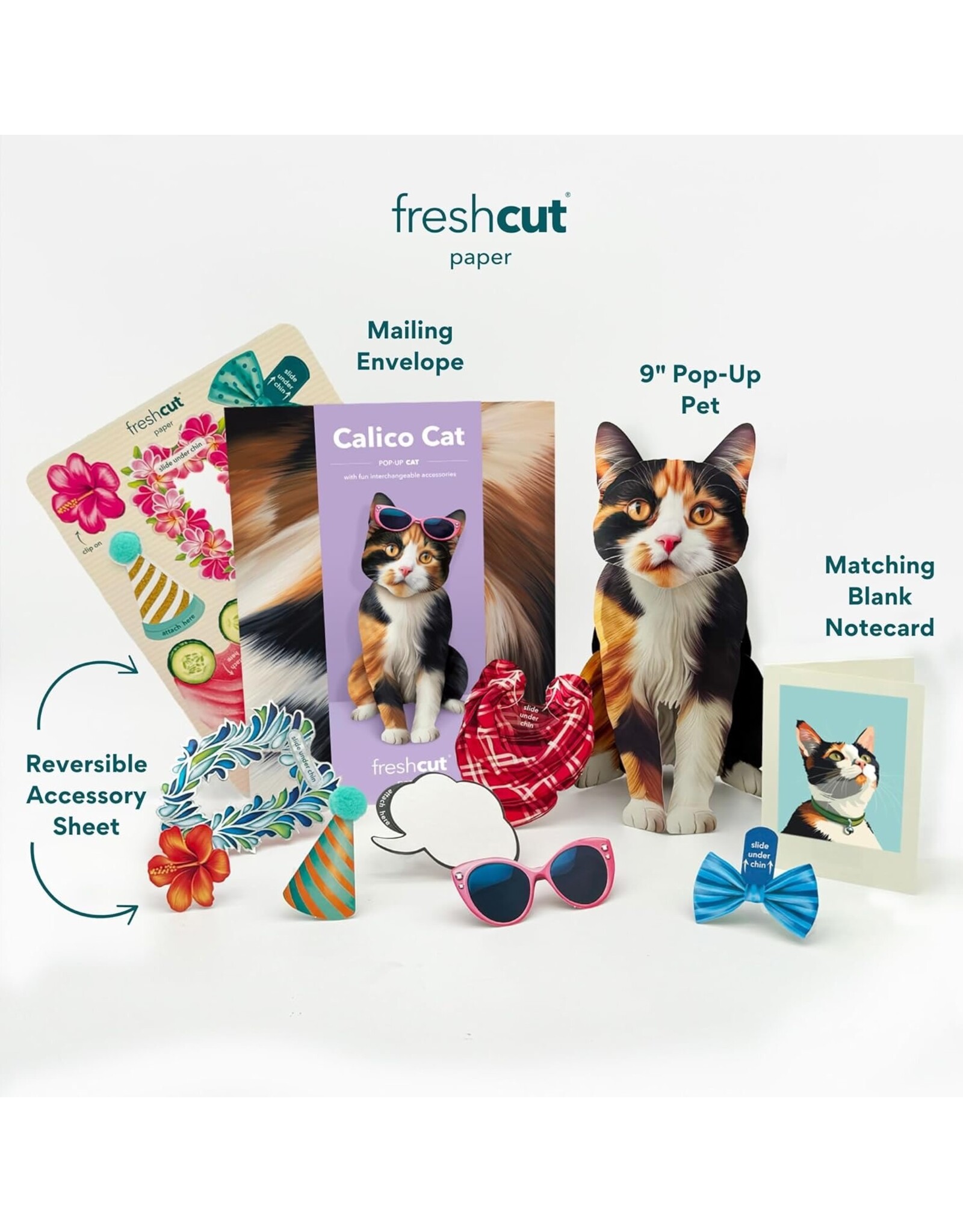 FreshCut Paper Pop Up Pet Cards | Calico Cat Pop-Up Card