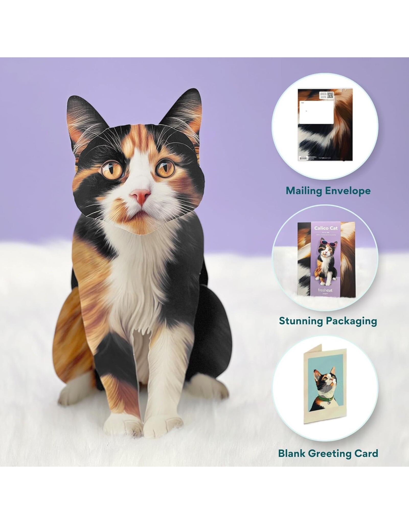 FreshCut Paper Pop Up Pet Cards | Calico Cat Pop-Up Card