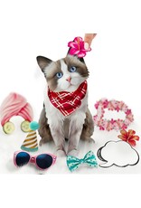 FreshCut Paper Pop Up Pet Cards | Rag-doll Cat Pop-Up Card