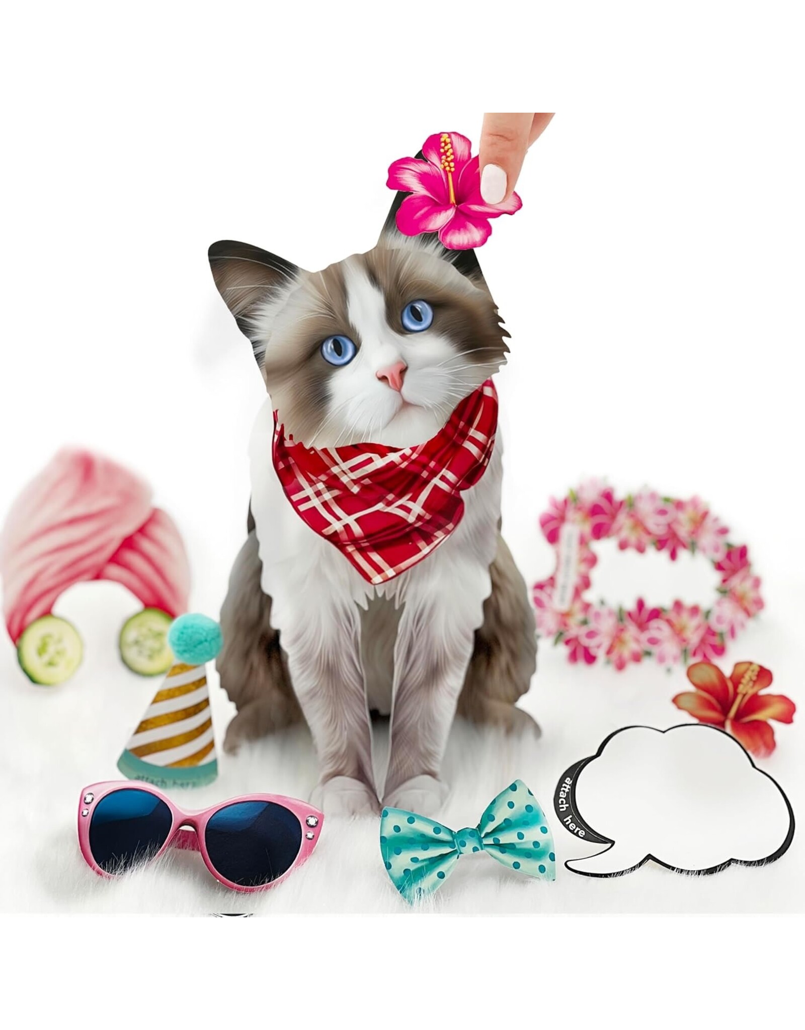 FreshCut Paper Pop Up Pet Cards | Rag-doll Cat Pop-Up Card