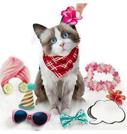 FreshCut Paper Pop Up Pet Cards | Rag-doll Cat Pop-Up Card
