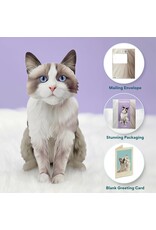 FreshCut Paper Pop Up Pet Cards | Rag-doll Cat Pop-Up Card