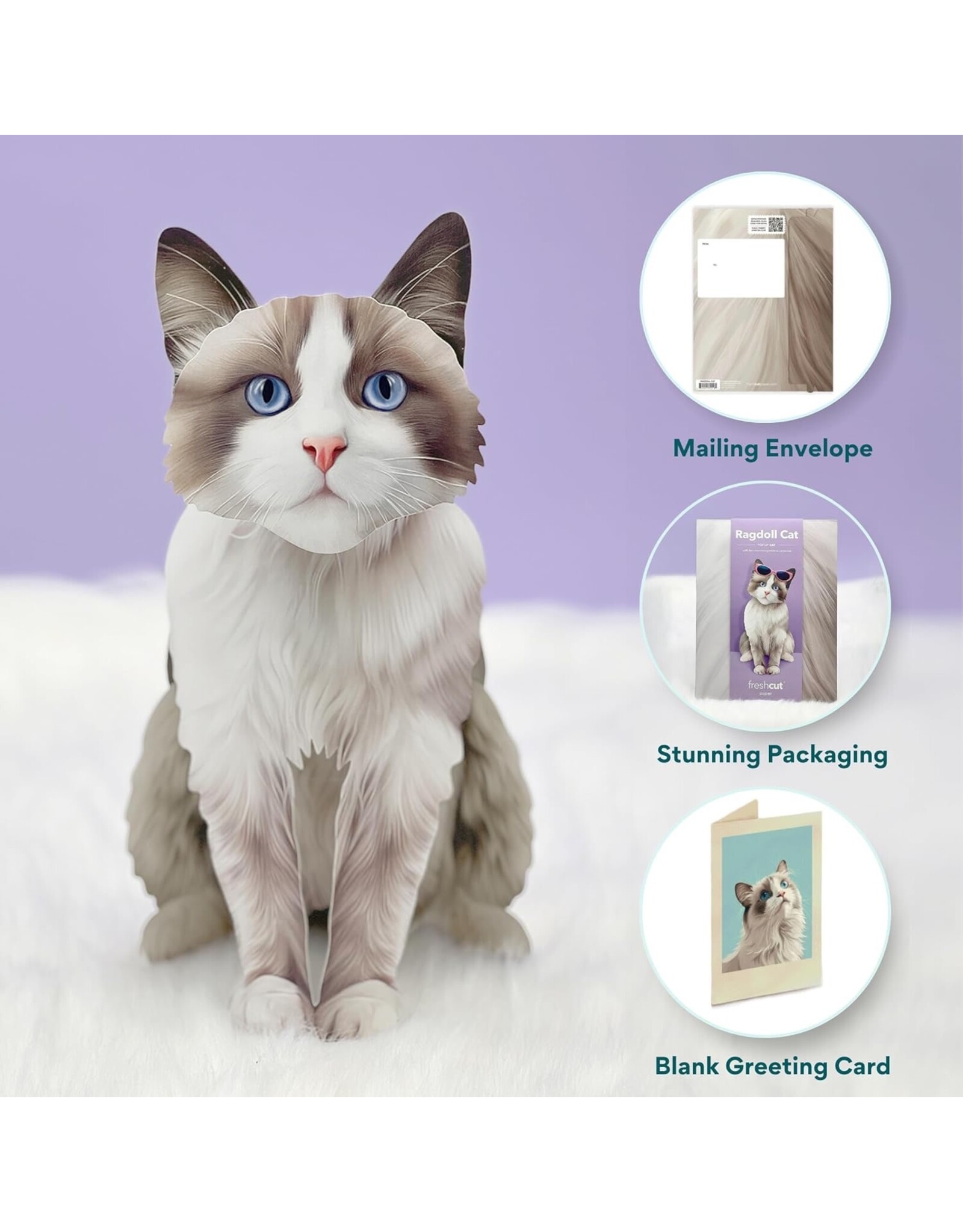 FreshCut Paper Pop Up Pet Cards | Rag-doll Cat Pop-Up Card