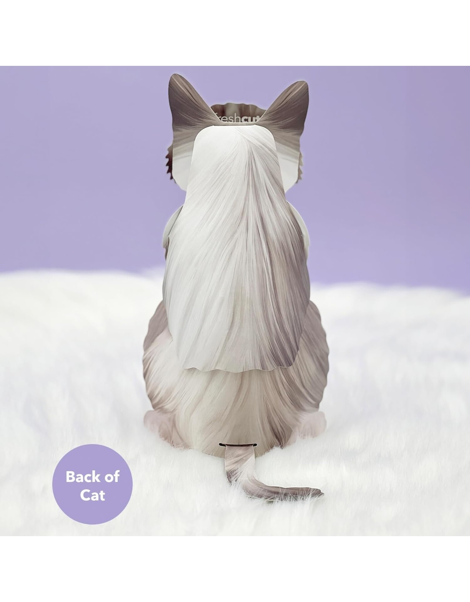 FreshCut Paper Pop Up Pet Cards | Rag-doll Cat Pop-Up Card