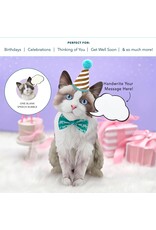 FreshCut Paper Pop Up Pet Cards | Rag-doll Cat Pop-Up Card