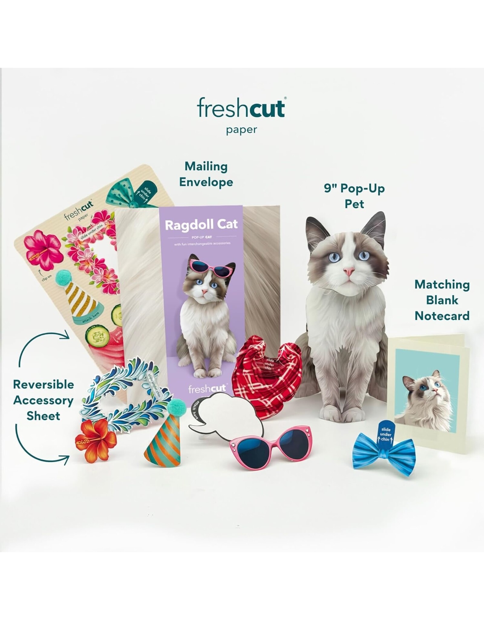 FreshCut Paper Pop Up Pet Cards | Rag-doll Cat Pop-Up Card