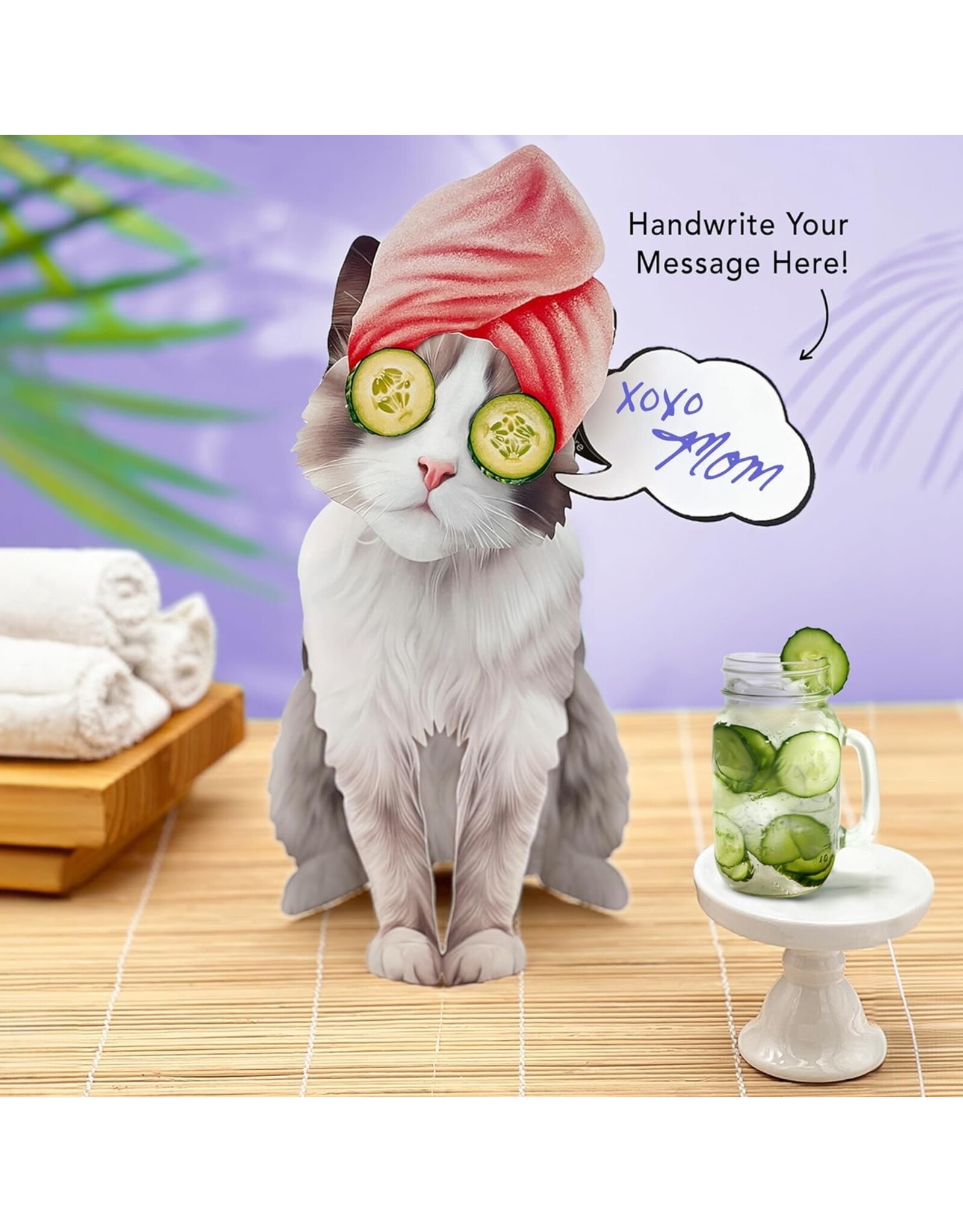 FreshCut Paper Pop Up Pet Cards | Rag-doll Cat Pop-Up Card