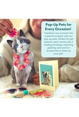 FreshCut Paper Pop Up Pet Cards | Rag-doll Cat Pop-Up Card