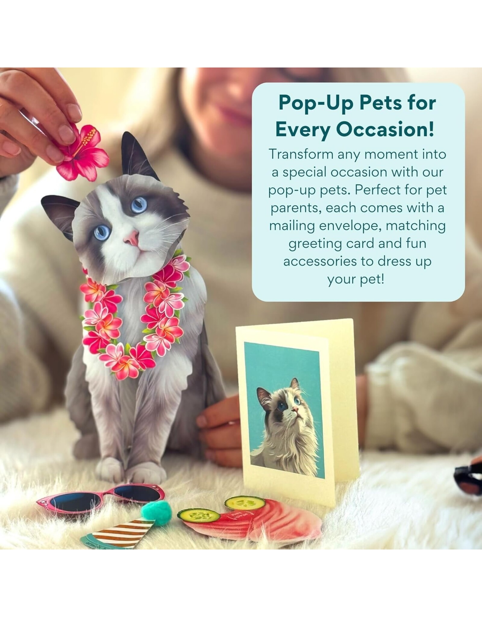 FreshCut Paper Pop Up Pet Cards | Rag-doll Cat Pop-Up Card