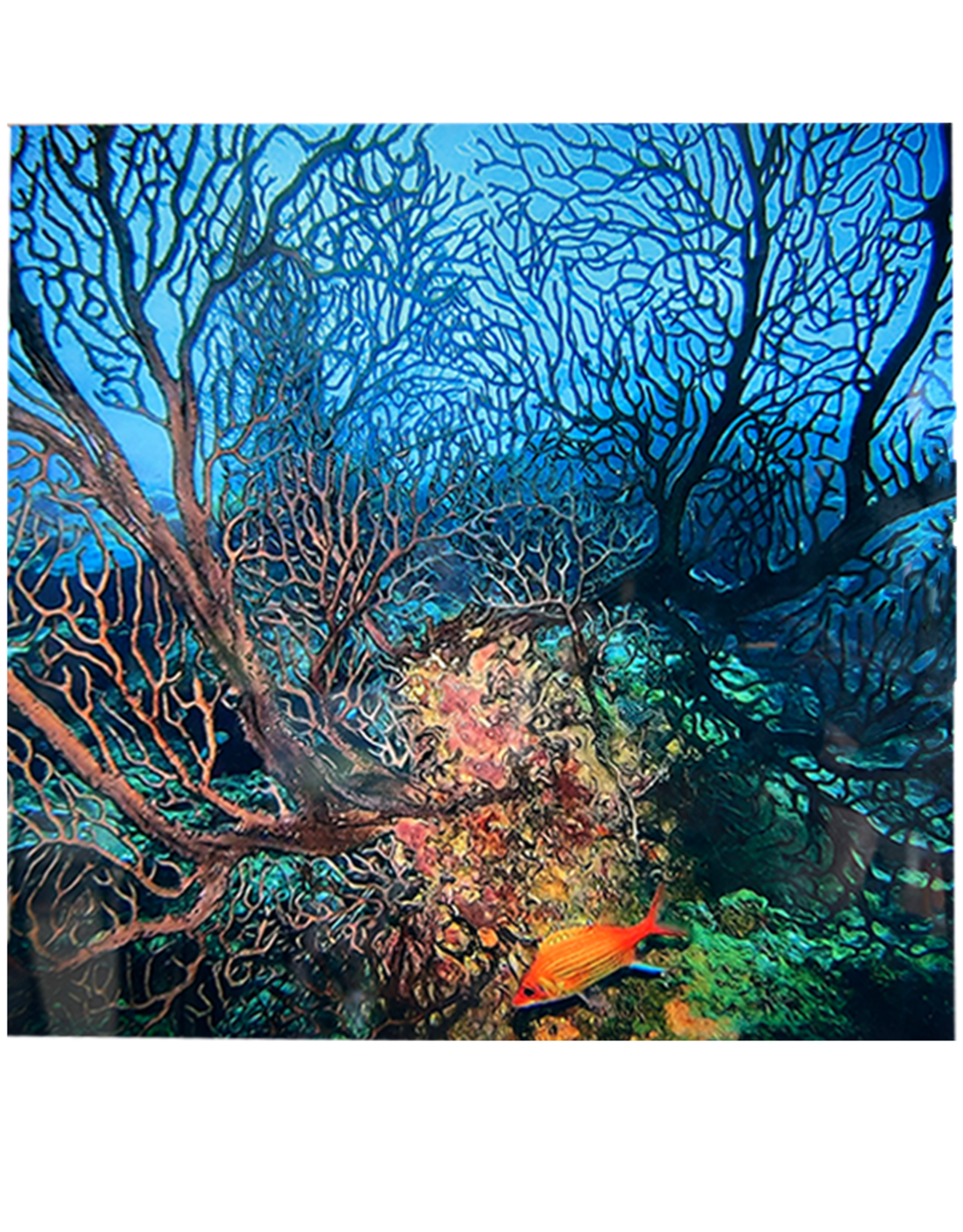 Millman Alayna Photography Art Metal Print 12x12 Corals On Reef