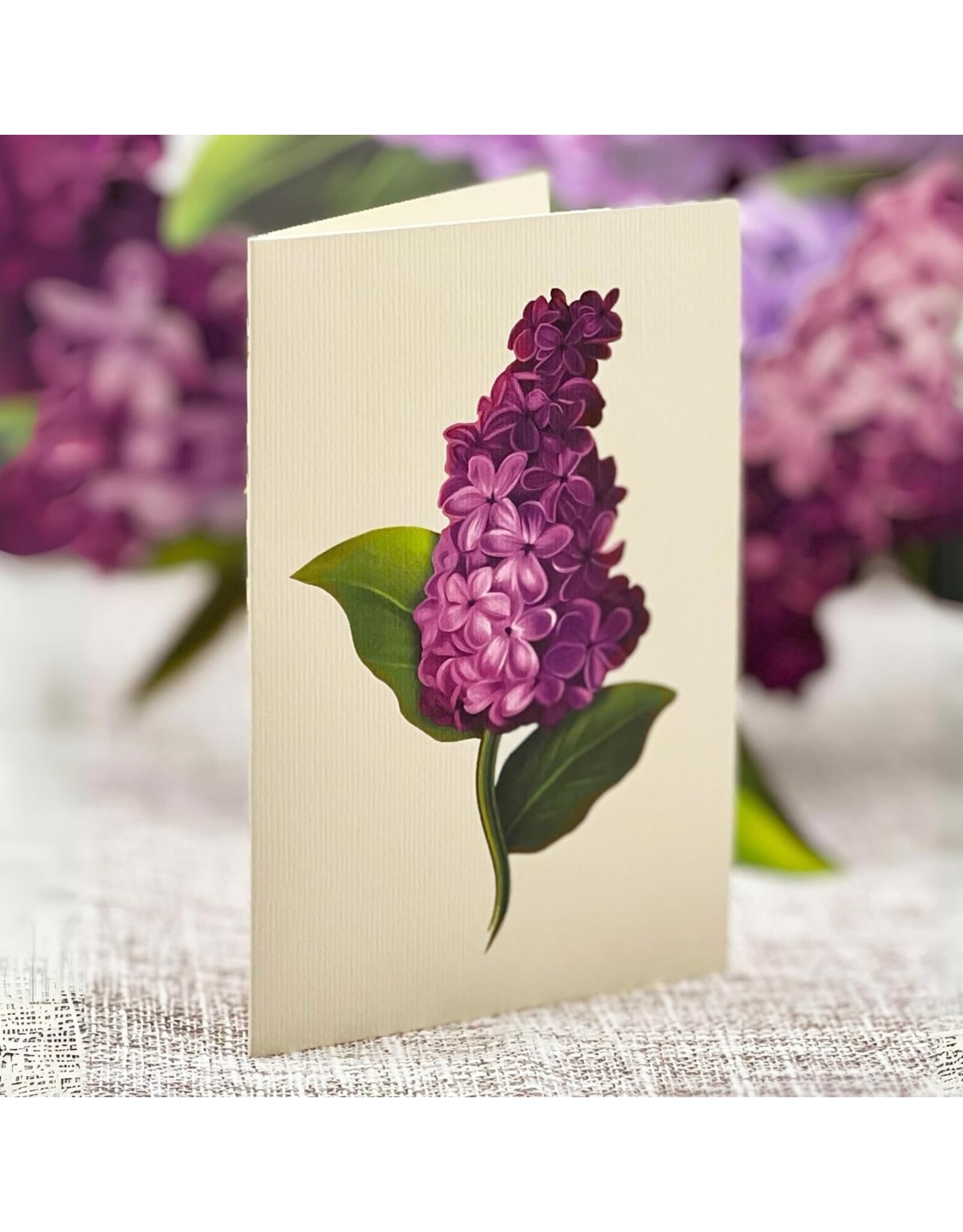 FreshCut Paper Pop Up Cards | Garden Lilacs Pop-Up Card