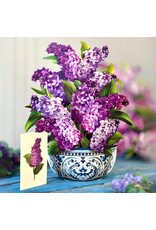 FreshCut Paper Pop Up Cards | Garden Lilacs Pop-Up Card