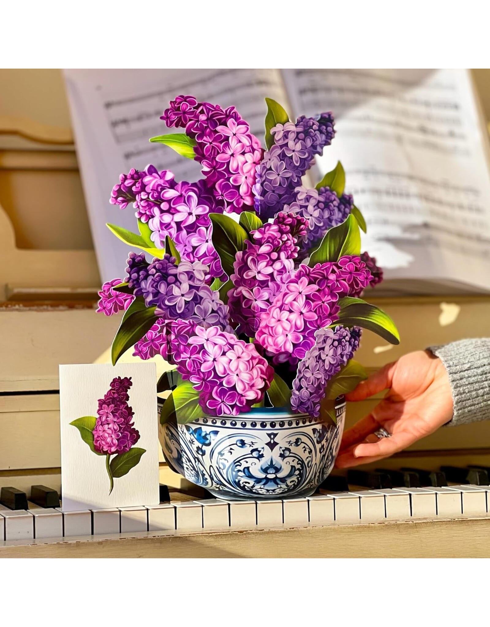 FreshCut Paper Pop Up Cards | Garden Lilacs Pop-Up Card