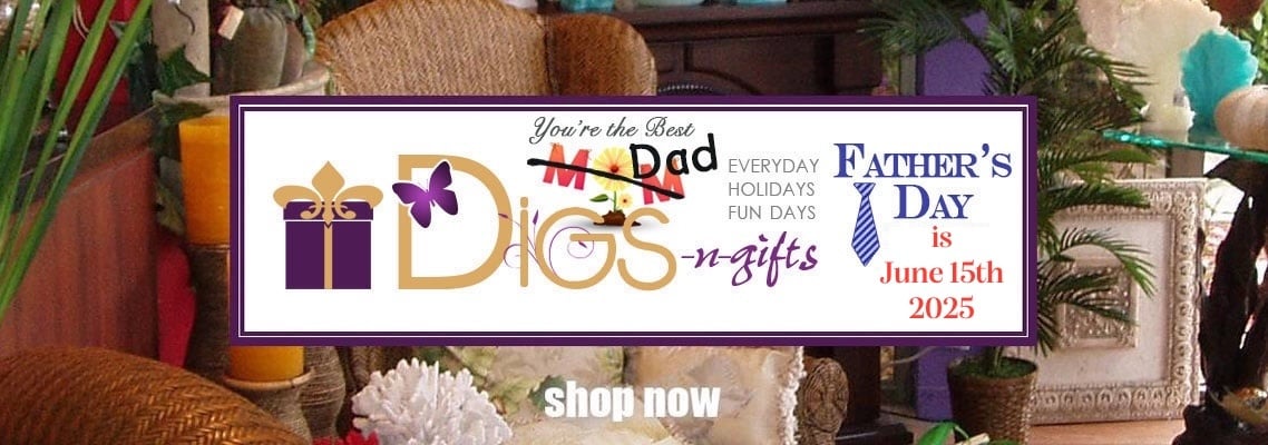 Digs N Gifts Store Shop Gifts for Dad Father's Day 2025 Gift Ideas Father’s Day Cards 2025 Best Shopping for Father’s Day Party Decorations Party Napkins digsngifts.com 258 Commercial Blvd Fort Lauderdale By-The-Sea, FL
