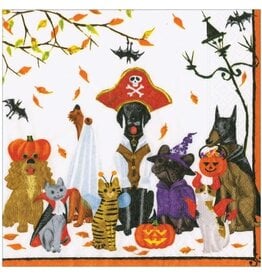 Caspari Halloween Party Paper Cocktail Napkins 20pk Halloween Pets