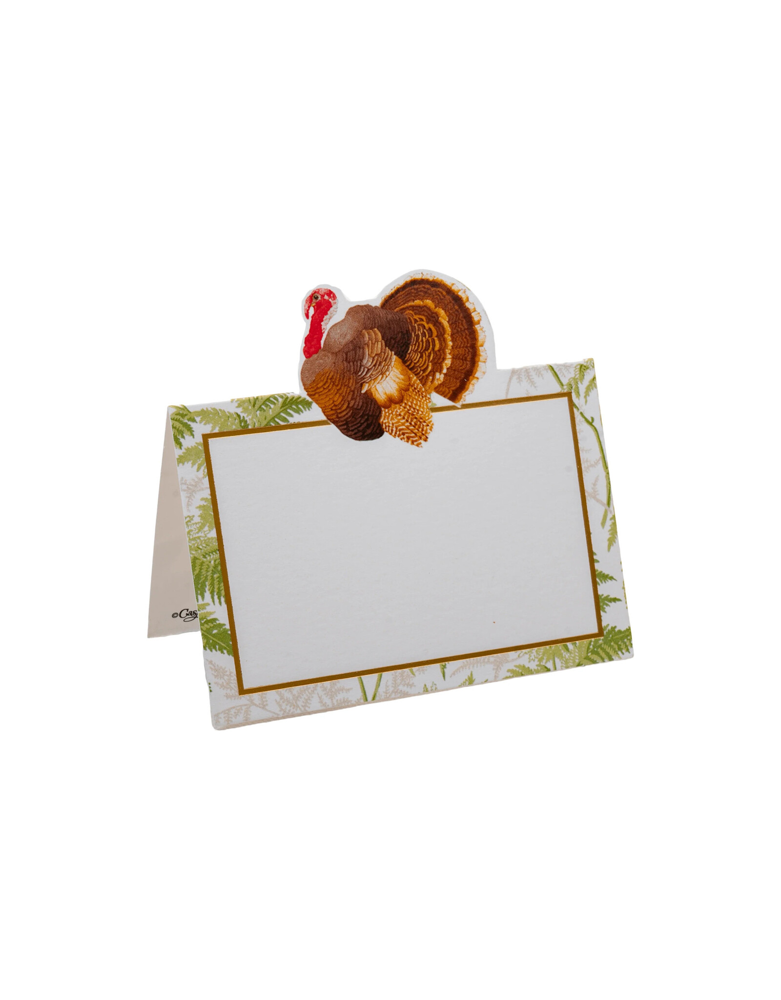Caspari Thanksgiving Place Cards Tent Style 8pk Turkey Among Ferns Foil