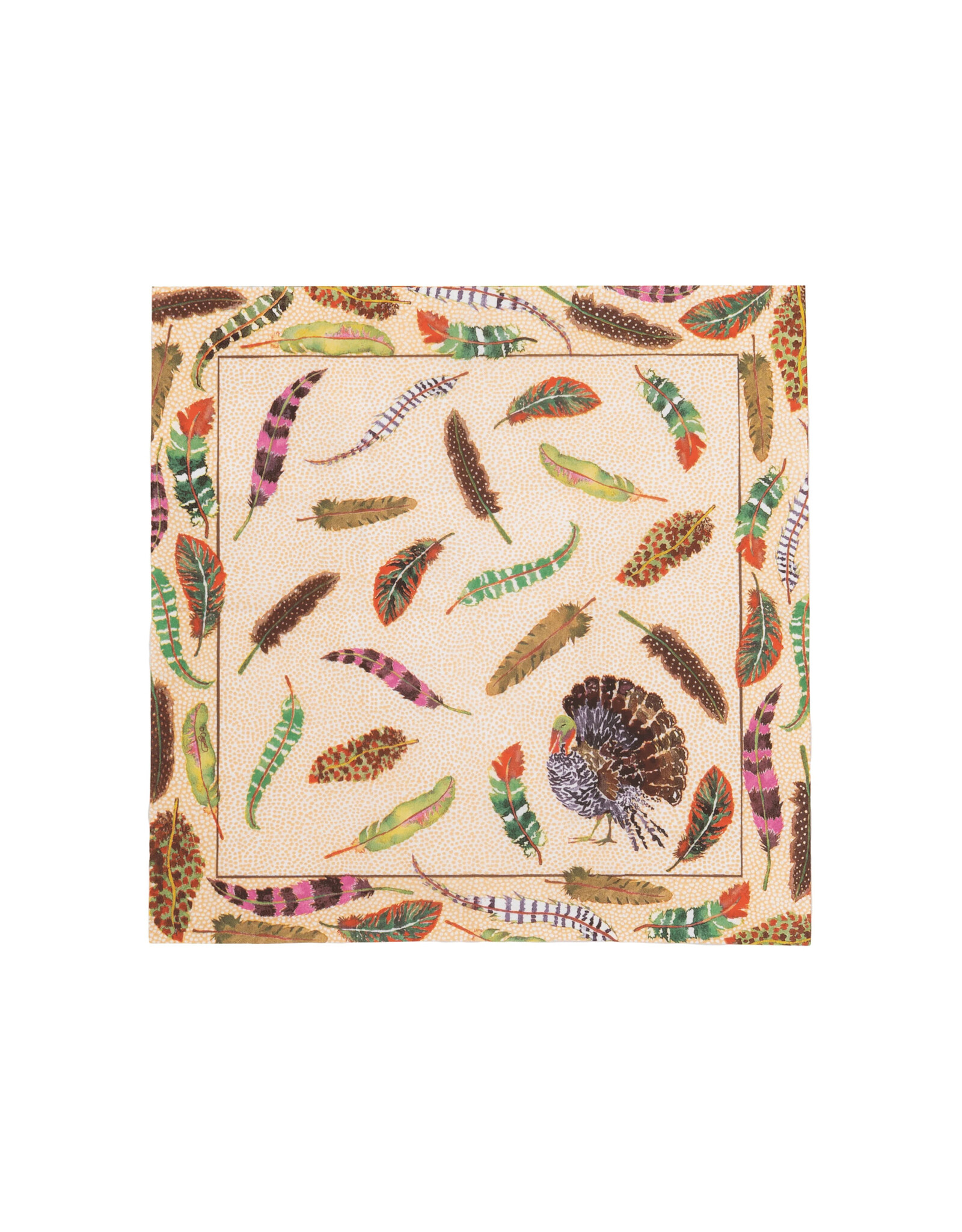 Caspari Thanksgiving Paper Cocktail Napkins 20pk Plumage Turkey