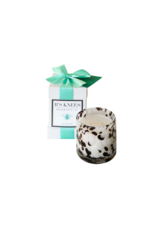 B's Knees Fragrance Candles 2 Wick White Tortoise Glass | Ocean Air