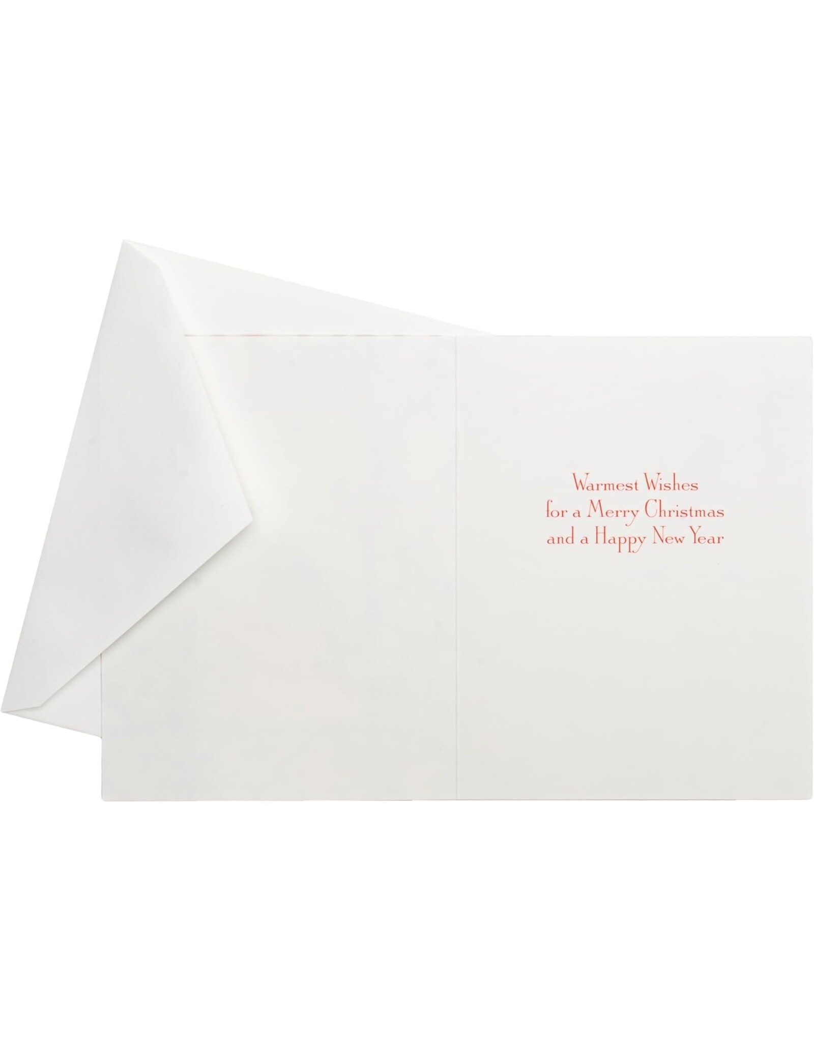 Caspari Boxed Christmas Cards 15pk Winter Birds And Berries