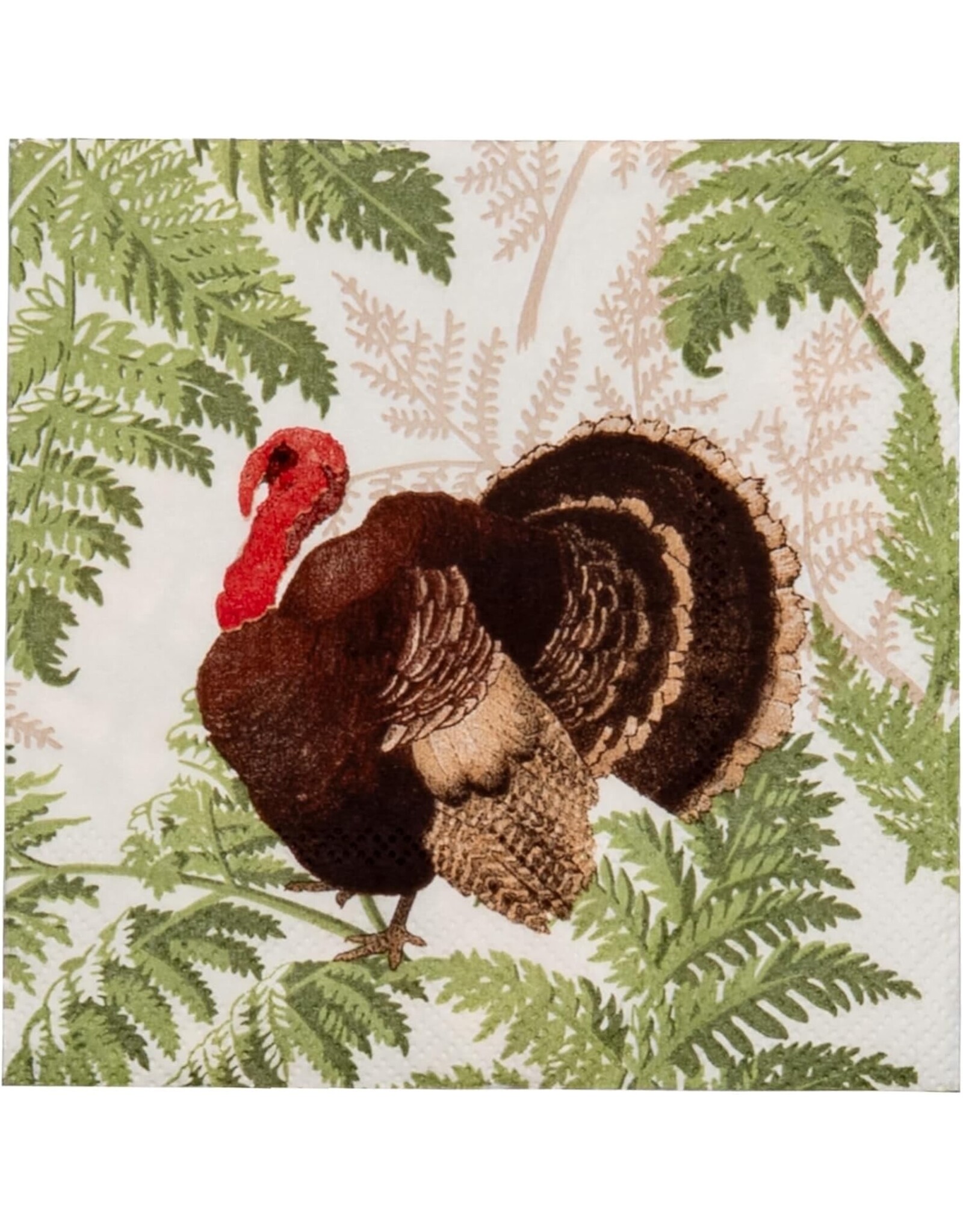Caspari Thanksgiving Paper Cocktail Napkins 20pk Turkey Among Ferns