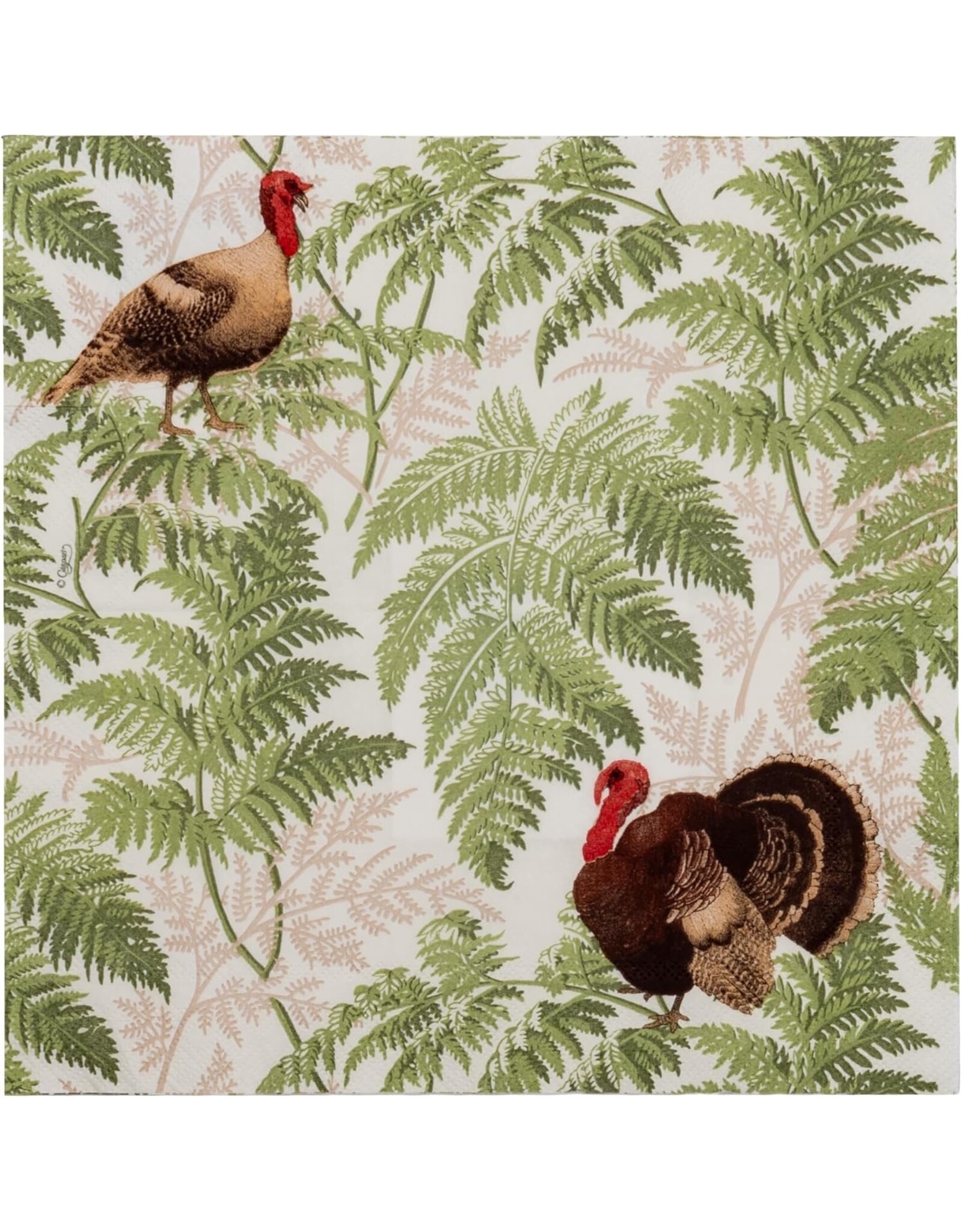 Caspari Thanksgiving Paper Cocktail Napkins 20pk Turkey Among Ferns